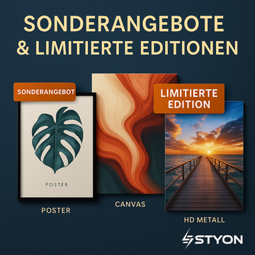 🔥 Sonderangebote & Limitierte Editionen – Exklusive Wandbilder von STYON