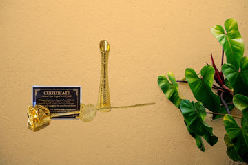 Goldene Rose mit goldener Vase auf roter Samtbox Vintage - Styon
