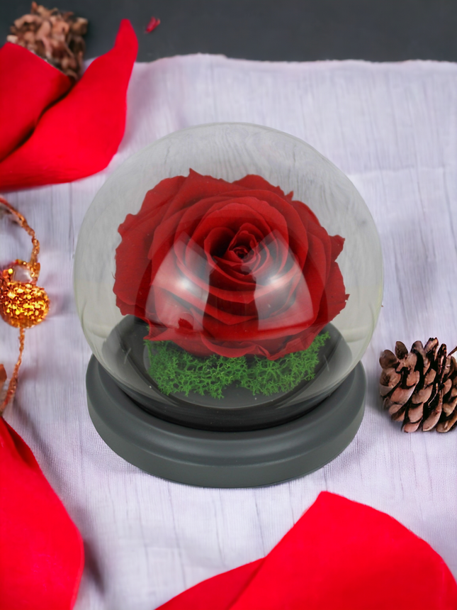Konservierte Rose Rot im Glas Jahrestag Geburtstag Geschenk
