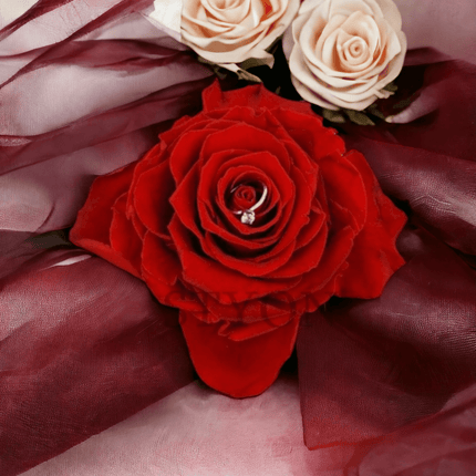 Handgefertigte Box, konservierte rote Rose, Gartenrosenduft - Styon