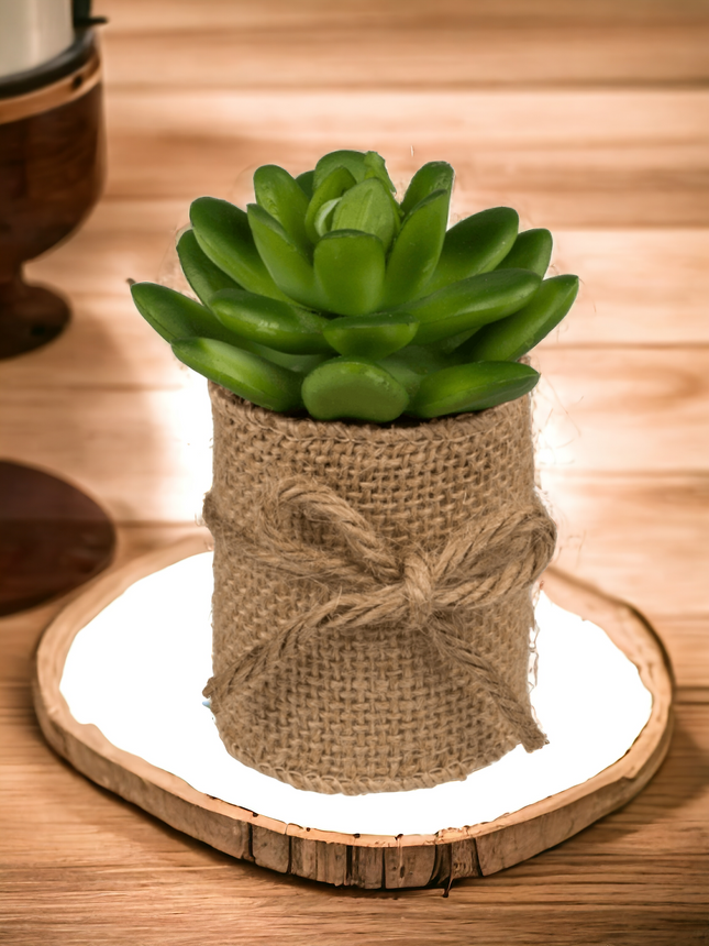 Decoration succulents in a pot with jute fabric SET