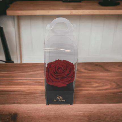 Die rote Rose in der durchsichtigen Schachtel - Styon