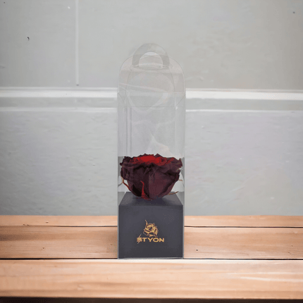 Die rote Rose in der durchsichtigen Schachtel - Styon