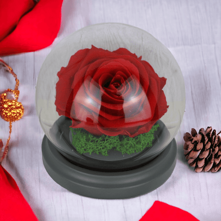 Konservierte Rose Rot im Glas Jahrestag Geburtstag Geschenk - Styon