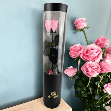 Kryogenisierte Rose ca. 50 cm in prächtiger Geschenkbox - Styon