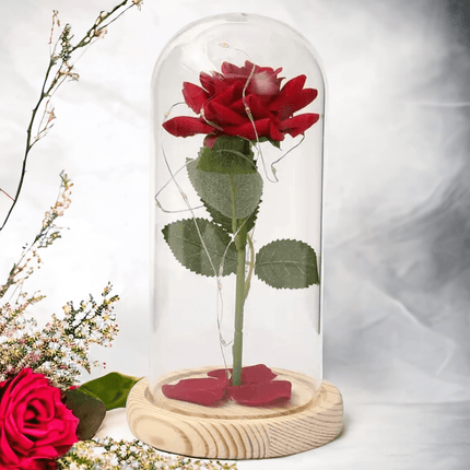 Unsterbliche rote Rosenblüte Glasabdeckung Holzständer - Styon